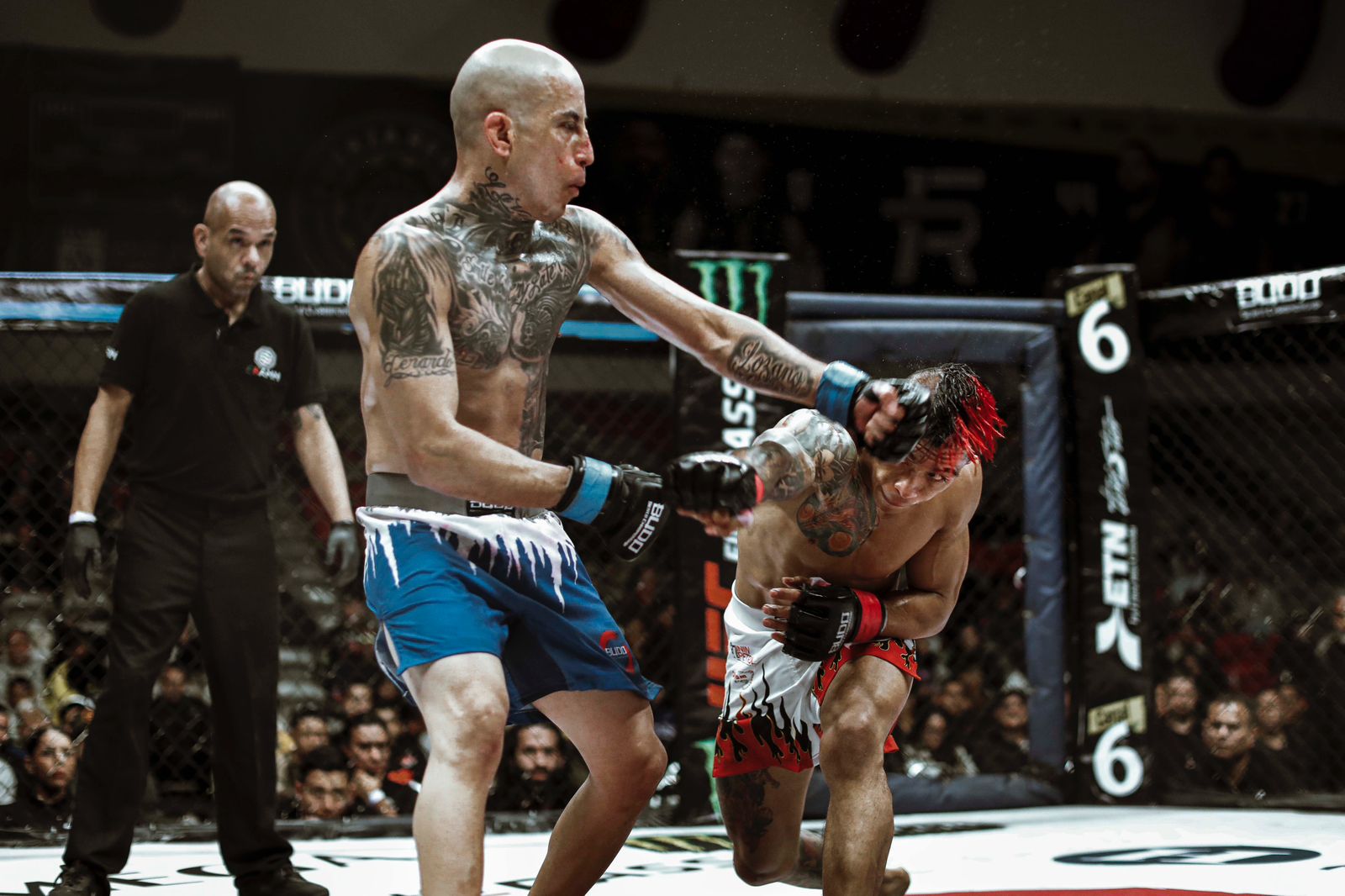 Técnica de Sumisión